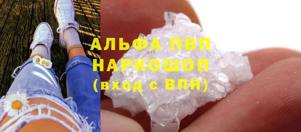 ECSTASY Алзамай