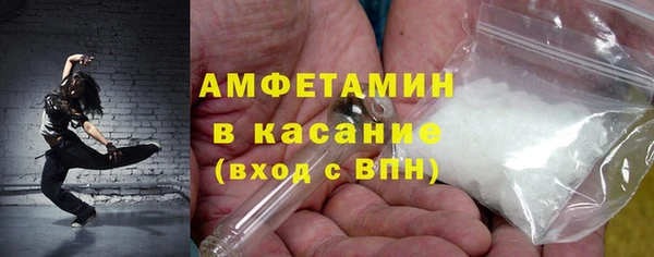 гашик Алексин