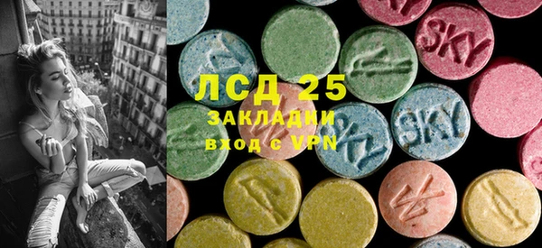 гашик Алексин
