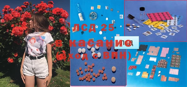 стафф Гусев