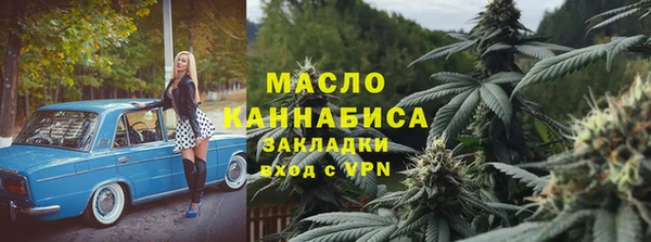гашик Алексин
