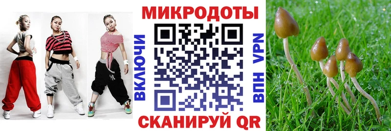 Псилоцибиновые грибы Psilocybe  MEGA вход  Кольчугино 